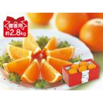 みかん 清見タンゴール約2.8kg-贈答用