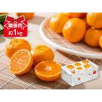 みかん ハウスみかん約1kg-贈答用