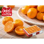 みかん ハウスみかん S玉20個入り 贈答用