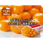 みかん　ワケあり愛媛みかん約2kg( 訳あり わけあり ワケアリ)