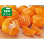 みかん　デコタンゴール＆露地せとか-家庭用2kg(各1kg)