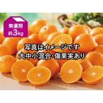 媛まどんな （無選別・ワケあり）約３kg