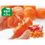 ショッピング甘平 みかん　甘平（かんぺい）約3kg-家庭用