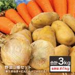 野菜3種セット（新たまねぎ・にんじん・じゃがいも）各約１kg 合計３kg 新玉葱 人参 メークイン おうちごはん おうち時間 ご家庭用 大量 野菜