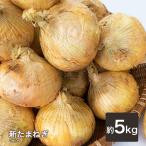 ショッピング玉ねぎ 新たまねぎ ご家庭用 大量 野菜 国産 新玉ねぎ 5ｋｇ