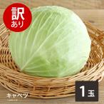  есть перевод капуста 1 шар бесплатная доставка .... салат окономияки .. yakiniku BBQ стандартный универсальный лист синий лампочка 