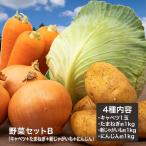 野菜セットB（キャベツ1玉・たまねぎ約1kg・新じゃがいも約1kg・にんじん約1kg）4種セット きゃべつ 玉ねぎ ポテト 人参 定番 万能 おうちごはん おうち時間