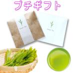 摘みたて緑茶 プチギフト 日本茶 お茶 飲料 ブライダル プチギフト プレゼント 結婚式 深蒸し 掛川茶 緑茶 茶葉 リーフ静岡茶 煎茶 ティーバッグ