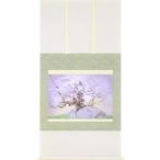 中島千波　掛け軸　石割櫻　　【掛軸】【一間床・半間床】【丈の短い掛軸】【春】