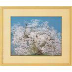 中島千波　絵画　千歳櫻　　【複製】【美術印刷】【巨匠】【変型特寸】