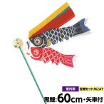 旭天竜 こいのぼり 鯉のぼり 室内用 旭天竜 鯉 鯉幟 ビニール竿付豆鯉セット M2AY