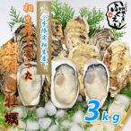 [送料無料]　殻付き 牡蠣　３ｋｇ【冷蔵便】兵庫県 相生海域　漁師 が販売、とれたて新鮮で す。生食用 かき　無選別