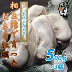 [送料無料]　剥き身 牡蠣　５００ｇ×３個【冷蔵便】兵庫県 相生海域　漁師 が販売、とれたて新鮮です。生食用 かき