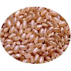 ショッピング広島 広島県産ミルキークイーン 無地袋  玄米 15kg 送料無料 5kg×3袋入り