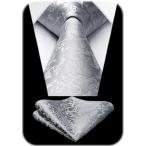 シルバー ネクタイ チーフ セット メンズ 結婚式 ペイズリー柄 フォーマル ビジネス 入学式 卒業式 礼服用 ネクタイ パーテイー 二次会 成人式 プレゼント