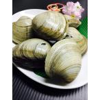 Yahoo! Yahoo!ショッピング(ヤフー ショッピング)kakiya【千葉産天然物☆特大 活ホンビノス貝 １ｋ】 １個約200gの大玉サイズ!! 春の行楽BBQや鍋メニュー、お吸い物に！水産市場より新鮮直送便