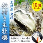 ショッピング牡蠣 生牡蠣 殻付き 生食用 大粒 10個セット 三陸産 牡蠣☆ 1個200ｇ〜のＬサイズ！かき剥きナイフセット付☆ 三陸直送！