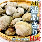 ....1kg Hokkaido production large grain 1 piece 20~30g large grain ... domestic production ... natural ... littleneck clam . profit ..