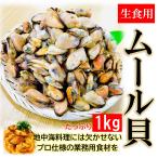 ムール貝 むき身 生食用 冷凍 1kg／100～200粒入り バラ冷凍で使いやすい!! ムール貝 ムール貝むき身 ムール