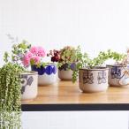 植木鉢 larson×波佐見焼 flora リサラーソン LisaLarson 陶器