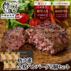 父の日 ギフト プレゼント 食べ物 ハンバーグ 冷凍 お取り寄せ 格之進 金格 5個セット 無添加 国産牛 白金豚 牛肉