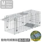 捕獲器 猫 アニマルトラップ トラップ 【Mサイズ】 駆除 捕獲 踏板式 捕獲機 動物 罠 保護 庭 農業 アニマルキャッチャー LB-201