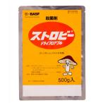 �X�g���r�[�h���C�t���A�u�� 500g