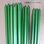 法人限定商品 園芸用支柱 若竹 太さ8〜20mm 長さ750〜2700mm 125〜250本束 11,900円〜