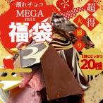 ショッピング今だけクーポン 今だけクーポンでお得 割れチョコ　新春メガミックス 600g　福袋 2025 　驚きの超メガ盛り！20種類の割れチョコを1袋に詰め込みました！ 爆買