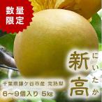 千葉県　鎌ケ谷 梨　かまたんのふるさと梨 完熟梨・新高 5kg（６〜９個）