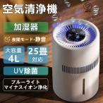 加湿器 気化式 4L大容量 上から給水 水漏れ防止設計 簡単お手入れ設計 水量確認可能 低消費電力 小型 卓上 乾燥対策