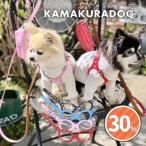  точка рисунок очки type Harness * Lead * сумка собака. одежда 