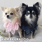  жемчуг гонки шарф собака. одежда 