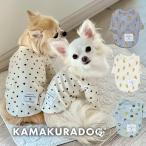ポップデイズトップス　犬の服