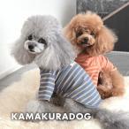 ALWAYSボーダー　犬の服