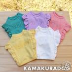 シャーベットカラー（ショートタイプ）　犬　服