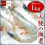 天使の海老 特大 1kg 20-30尾入 天使のエビ 天使のえび 20/30 20-30匹 母の日 ギフト