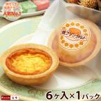 焼きプリンタルト 6ヶ入×1パック 焼プリンタルト 学校給食デザート