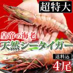 ショッピングタイガー 大海老 超特大 冷凍 シータイガー ジャンボエビ 皇帝の海老 有頭えび 4尾セット 1尾230-289g 約30-32cm 個包装 海鮮 誕生日 ギフト 母の日 プレゼント 食べ物