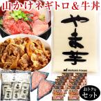 山かけネギトロ&牛丼セット 冷凍 とろろ 山芋 小分け 70g×20袋入 あらびき ねぎとろ 300g×2パック 大盛牛丼の具 150g×10食