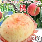 予約 桃 ギフト フルーツ 福島 桃 白桃系多種 特秀品 1.8kg（6〜7玉入）を3箱 まとめ買い 8月下旬発送分