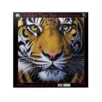 SUNSOUT INC - Golden Tiger Face - 1000 pc Jigsaw