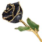 Allmygold 11 24K Gold Dipped Real Rose (Black)