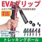 送料無料　トレッキングポール 折り畳み 二本セット 登山ストック 登山用スティック 長さ調整可能 登山杖 5節 超軽量　