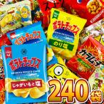 送料無料　ポテトチップス も入っ