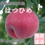 桃 はつひめ 1.8kg(7〜9個) 福島桑折町