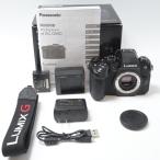 パナソニック Panasonic LUMIX G99D ボディ ブラック DC-G99D-K