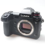PANASONIC LUMIX DC-S1