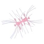 ダイワ [90] スティーズ クアッドフォーゼ ピンク (N2) お一人様1個限り