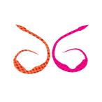 START [90] MCJ-39 シリコンネクタイ マジカーリーjr. リバーシブルオレピン (N5) お一人様1点限り